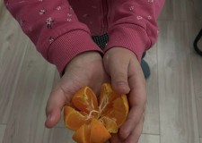 Warsztaty na świetlicy GCKiS - życie w zgodzie z naturą