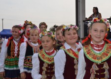 Powiększ zdjęcie 